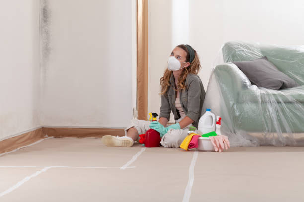 Reliable Mold Remediation contractor in Edgewater, FL by WQB Mold Removal
